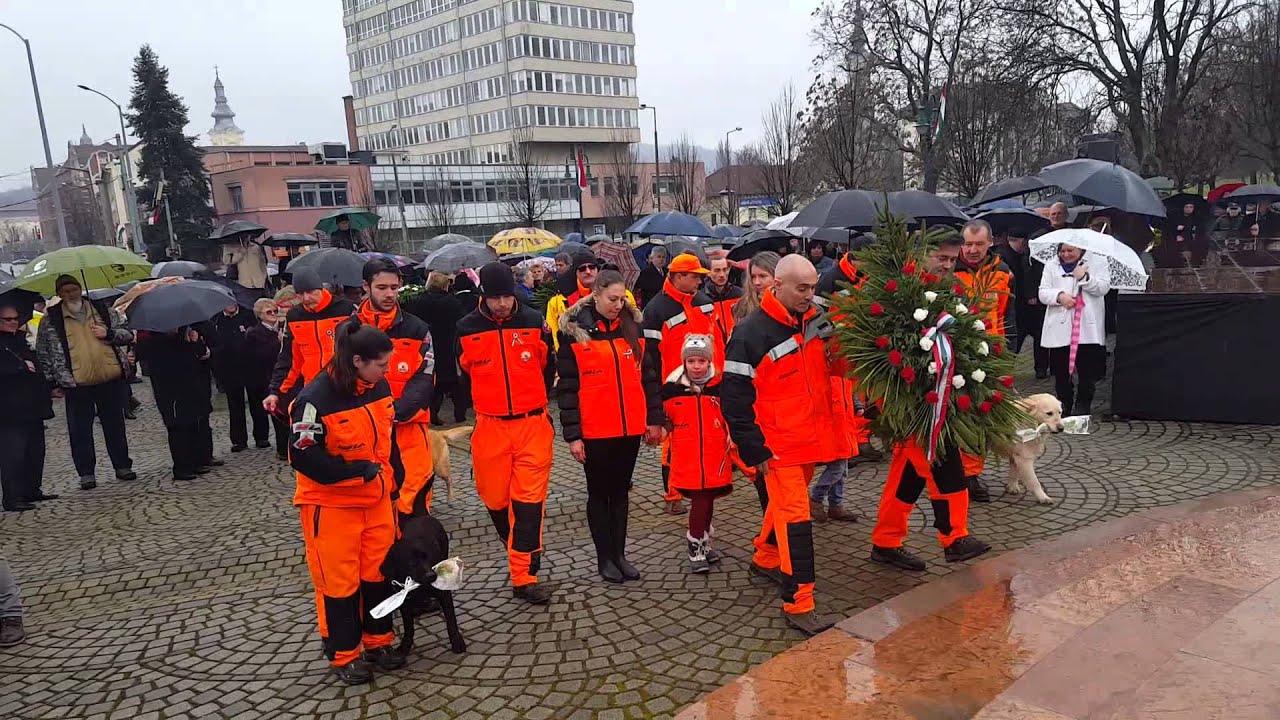 A Spider miskolci kutyás mentőcsoport koszorút helyez el a Miskolci Petőfi téren