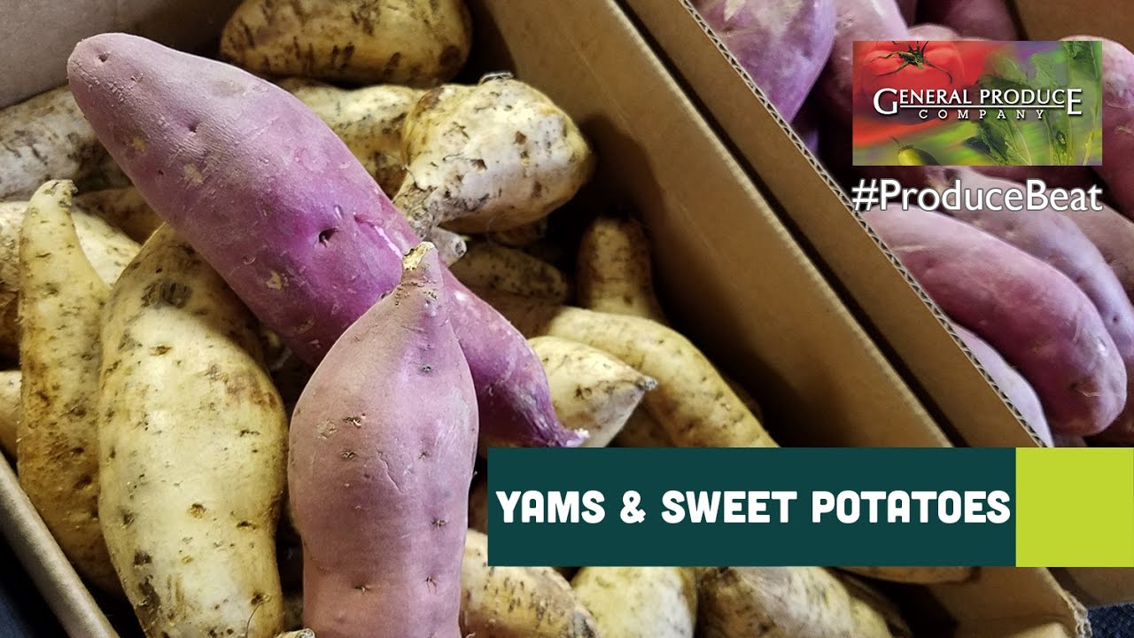 Produce Beat: Red Yams, Japanese Yams & Okinawa Sweet Potatoes