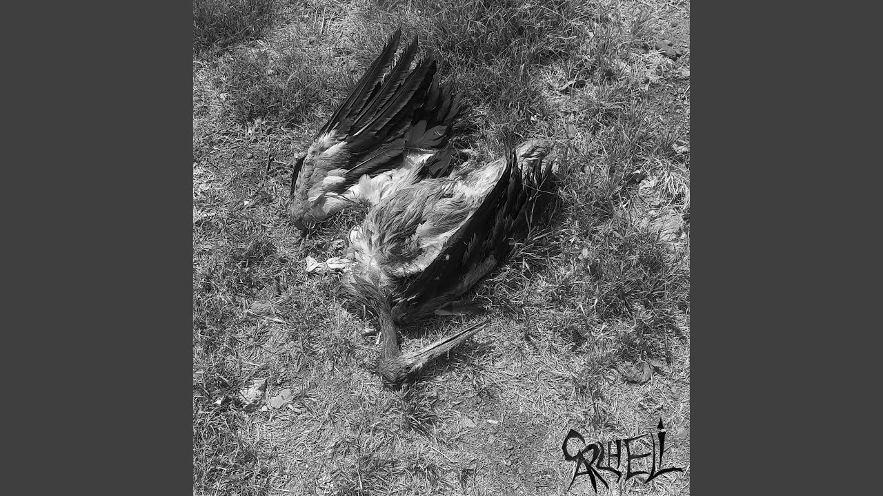 Six feet under