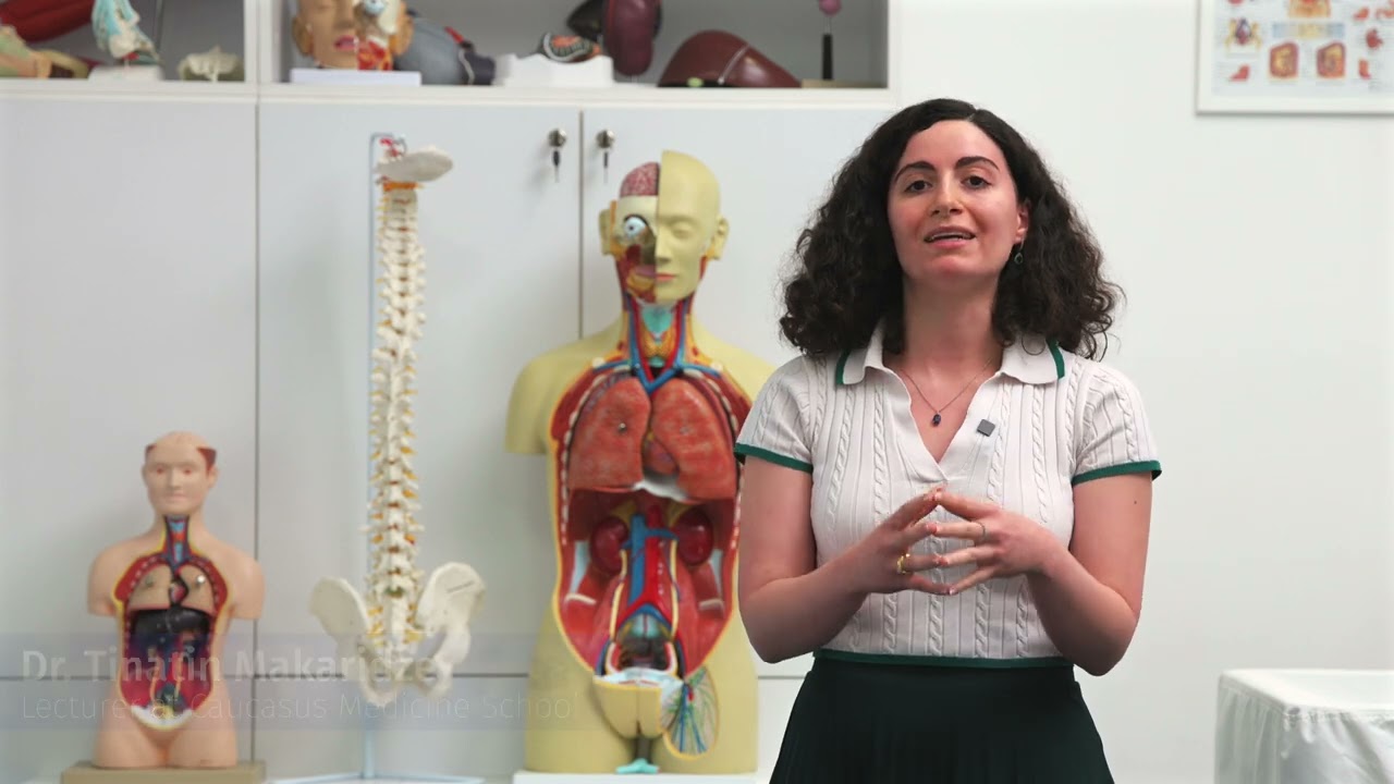 Caucasus University MD Program
