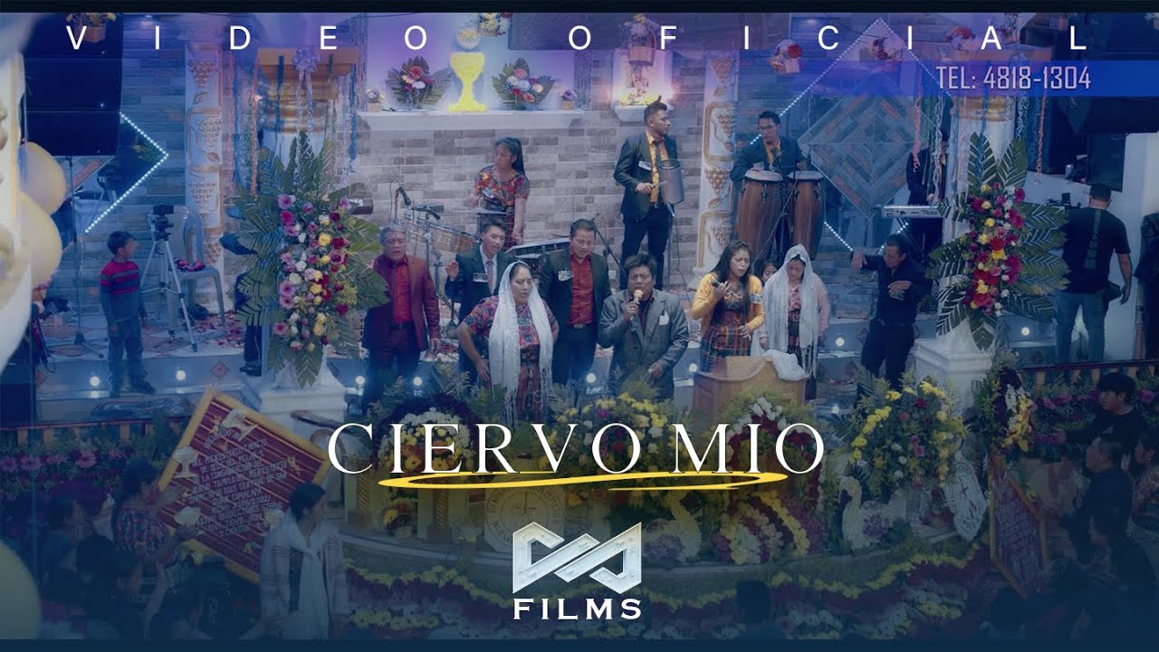 CIERVO MIO - JAYME PAZ