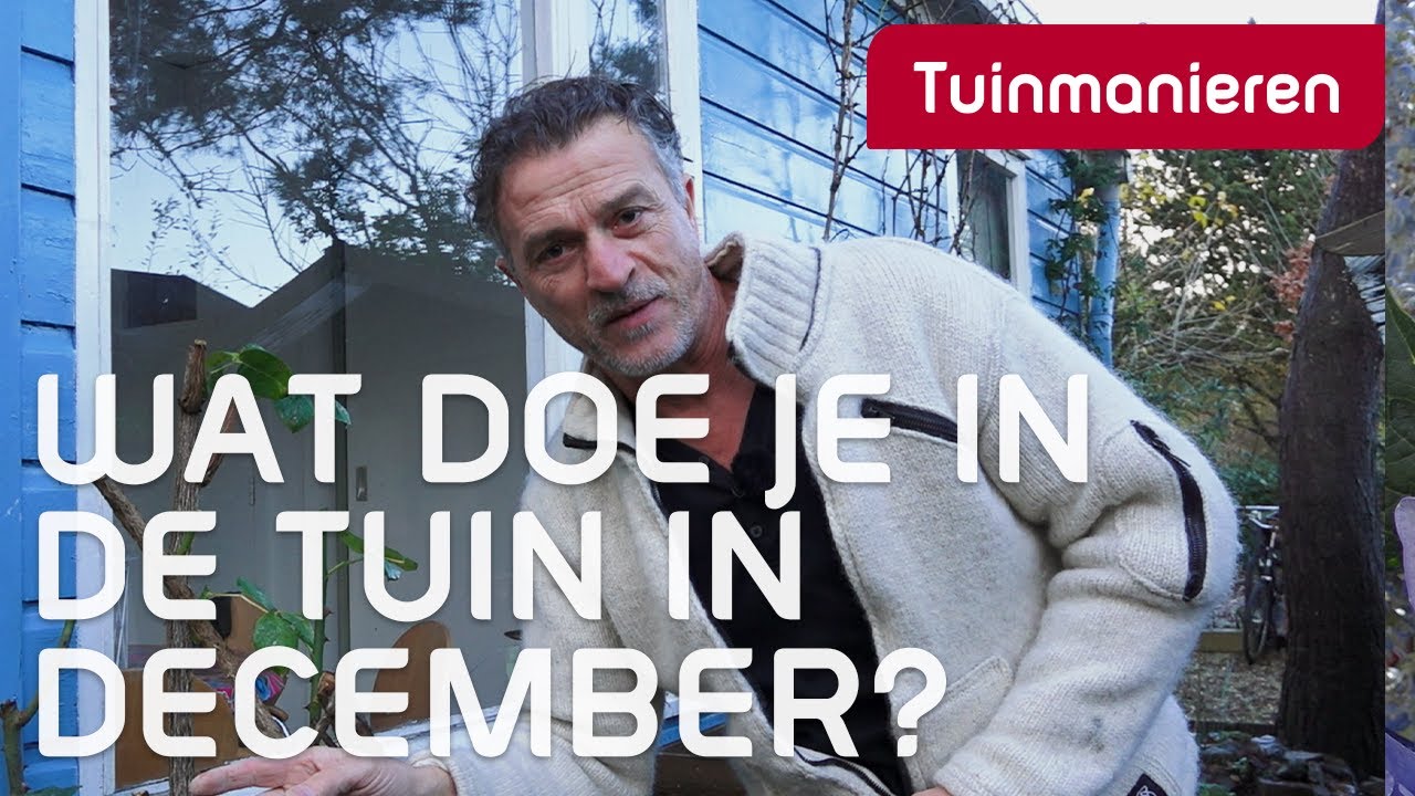Wat doe je in de tuin in december | december | Tuinmanieren