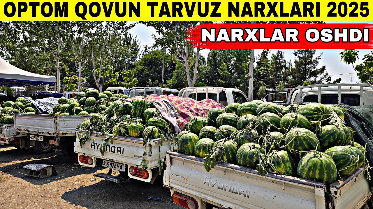 OPTOM QOVUN TARVUZ NARXLARI 2025 NAMANGAN POP CHIG’ANOQ QOVUN TARVUZ BOZORI NARXLAR KO’TARILDI