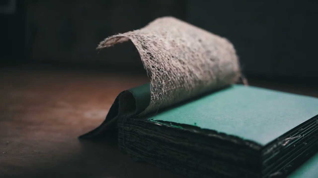 Oggetto Libro 4° edizione / Rothco, The Book That Grew