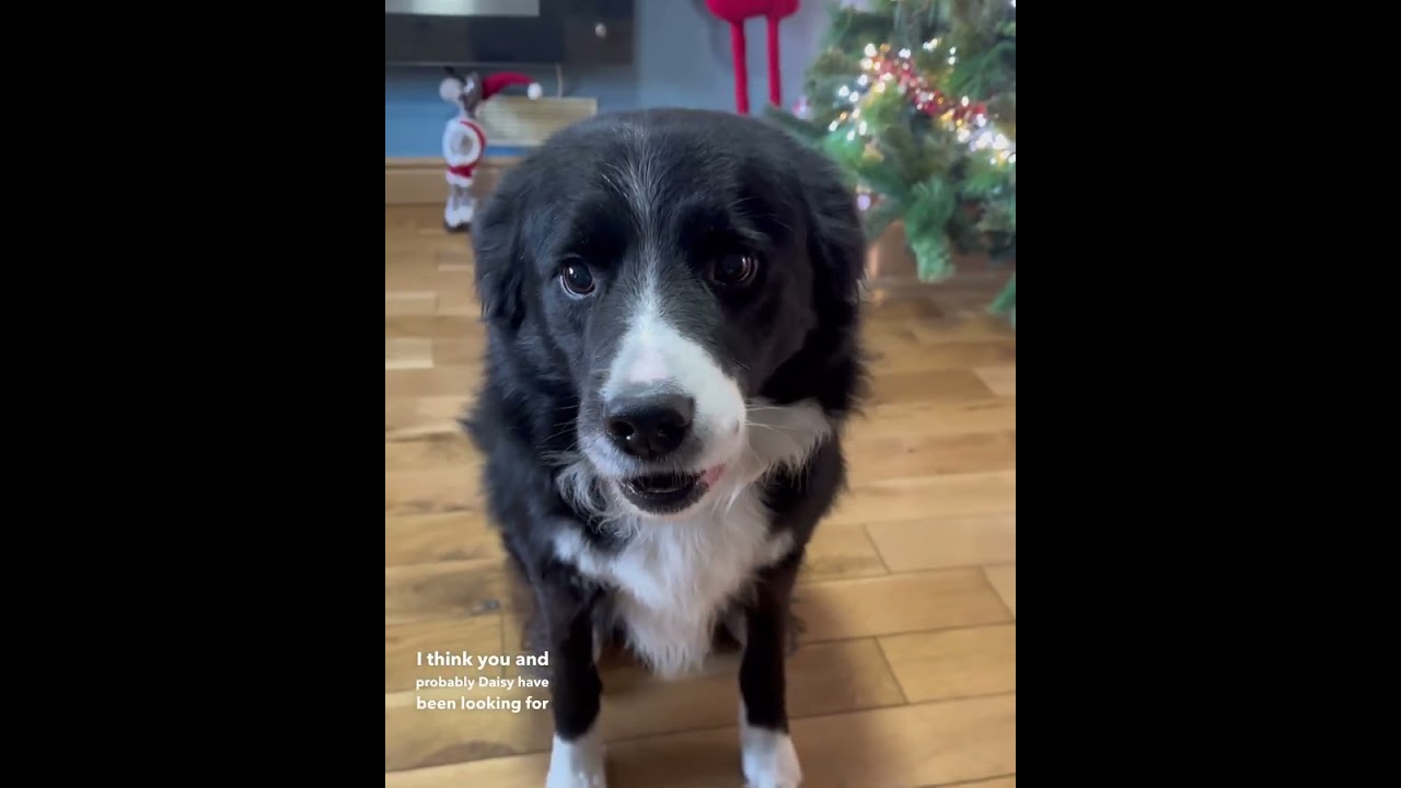 It was meant to be a present…