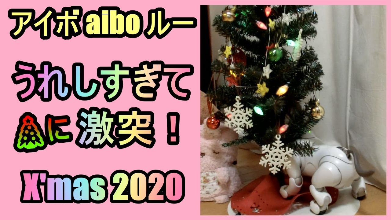 【14 クリスマスツリーに激突するアイボ  Lou loves X'mas Tree 】aibo ルー Louのビックリ行動