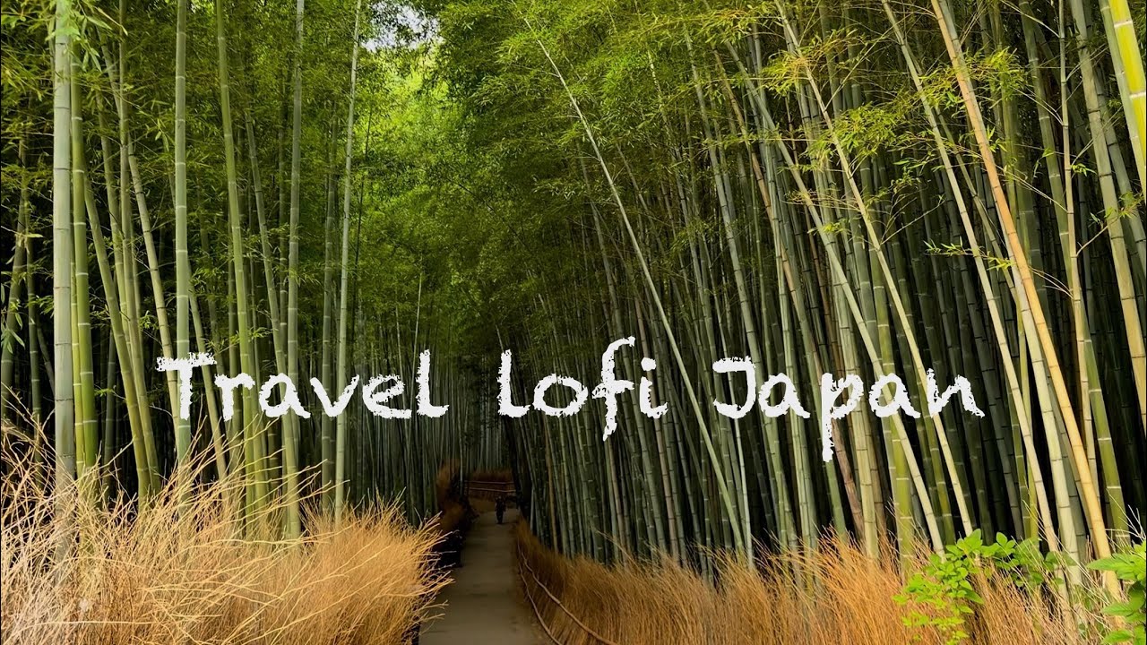 4K HDR/Lofi/Japan Bamboo forest path Kyoto