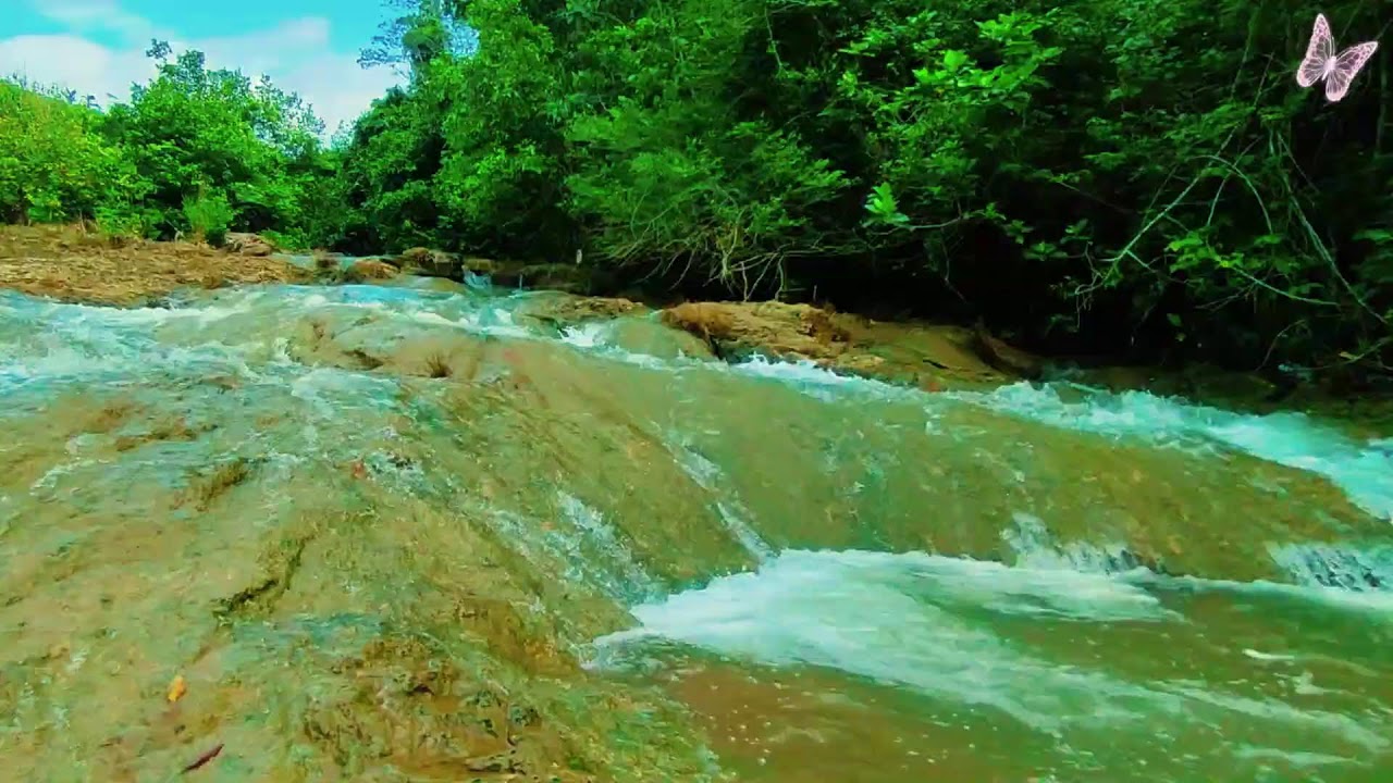 Relaxing Music For Stress Relief, Anxiety and Depressive States🌿 Heal Mind, Sleep Meditation Calm 2