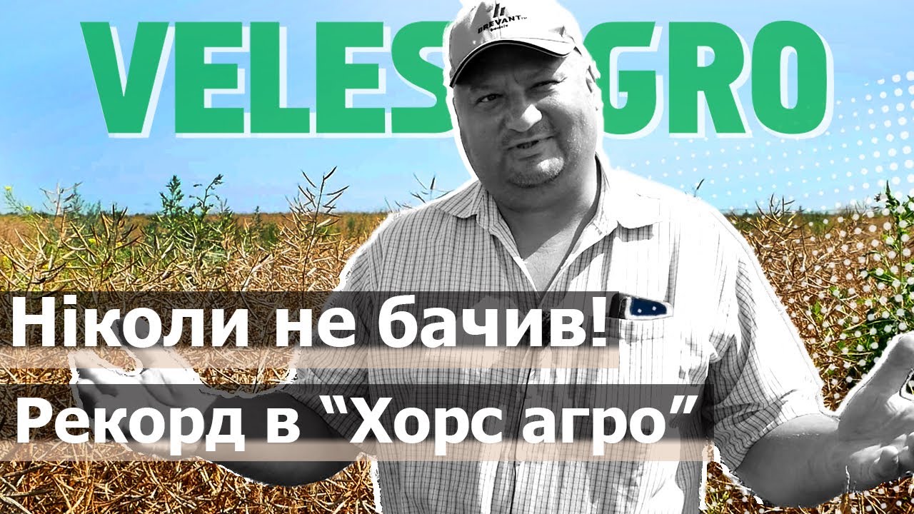 Урожай рапса и ячменя в ФГ 