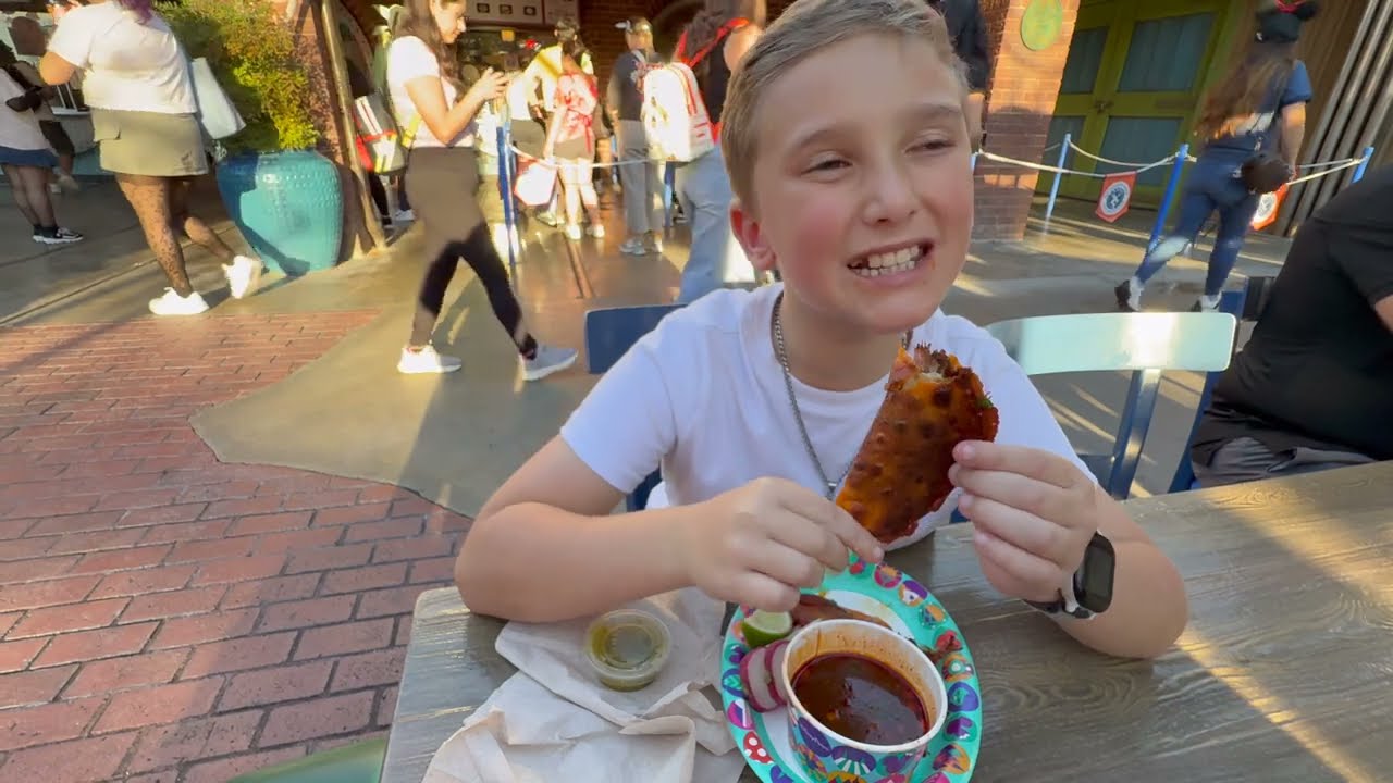 Best Birria Tacos from California Adventure