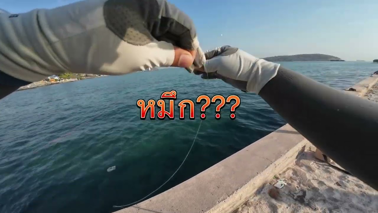 EP4 ตกปลาทะเลครั้งแรกในชีวิต บอกเลยอย่างใหญ่ไซส์บอส