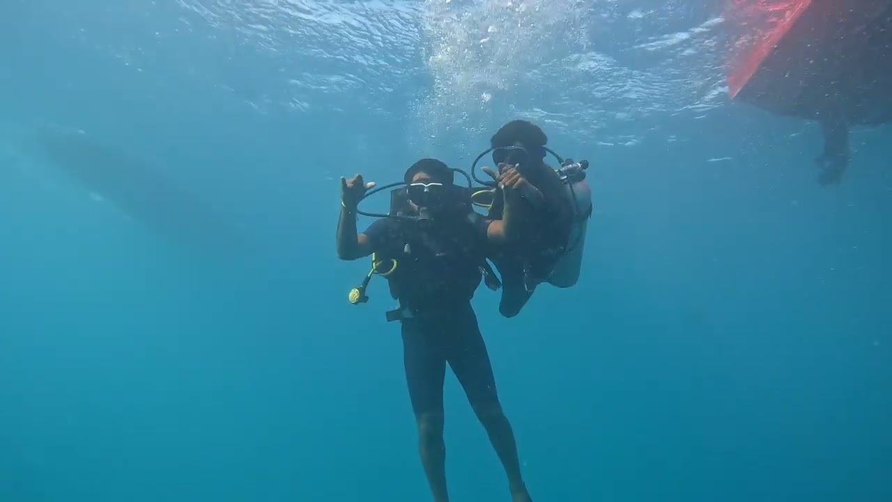 #scubadiving 