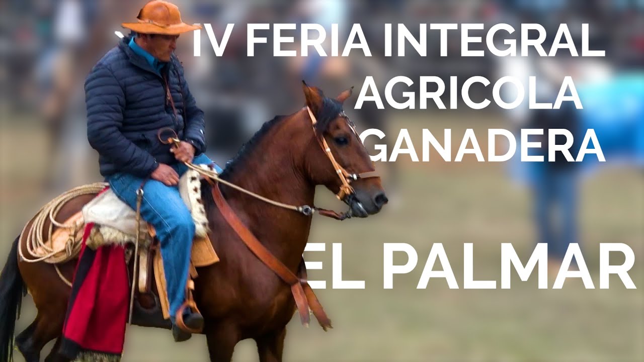 Explorando Sabores en la IV Feria Agricola Ganadera EL PALMAR | El Chef Sin Fronteras