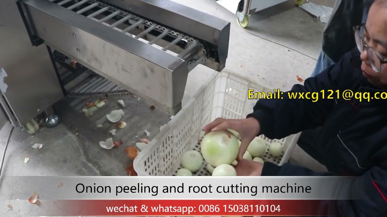 onion head and tail root cutting machine with onion skin peeling machine 2 in 1 machine