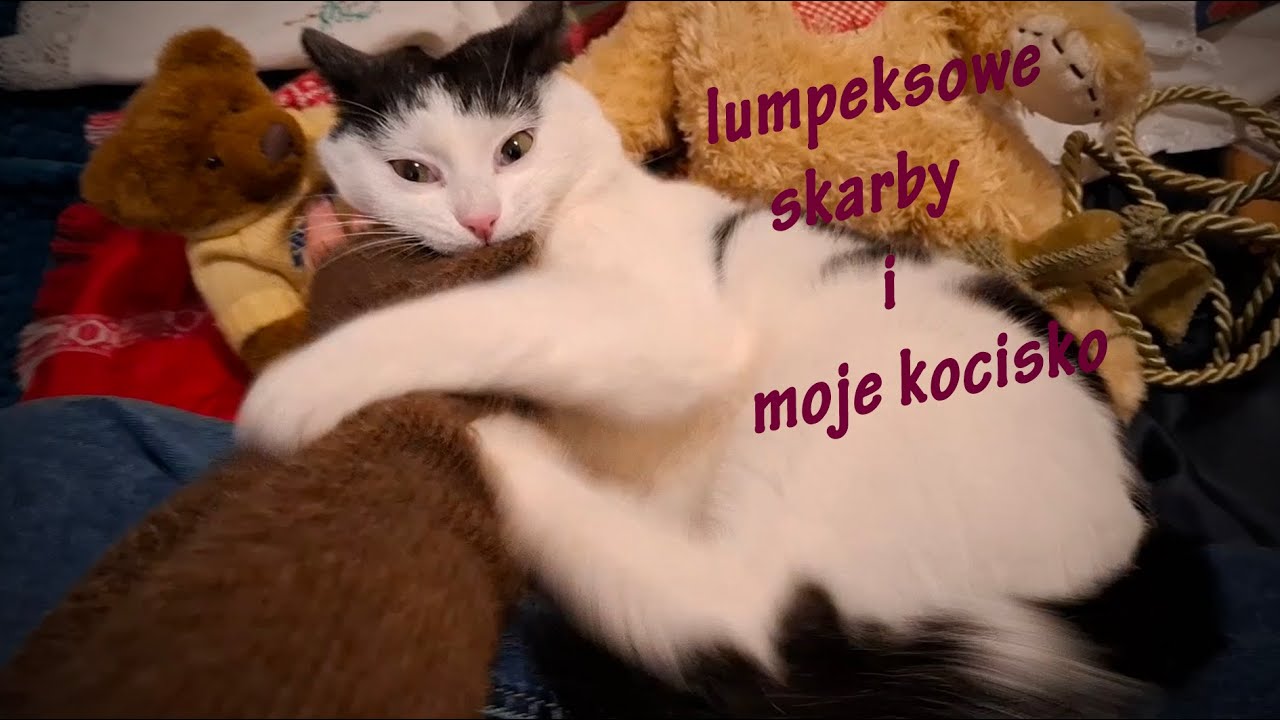ASMR po polsku 🐈 Lumpeksowy Haul z kocim akcentem 🐈 Skarby po 2 zł 🧸 Mówię normalnym głosem | lofi