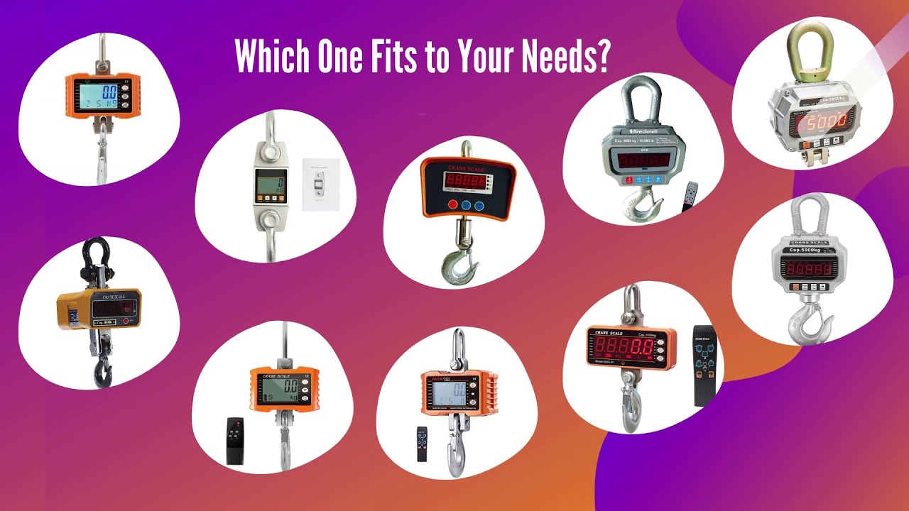 Top 10 Best Crane Scales in 2020 Reviews #showguideme