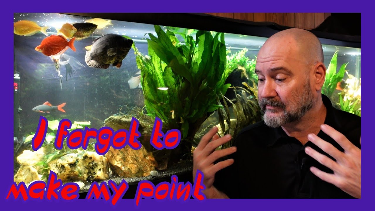 Температура воды во время подмены воды (видеоролики ниже)