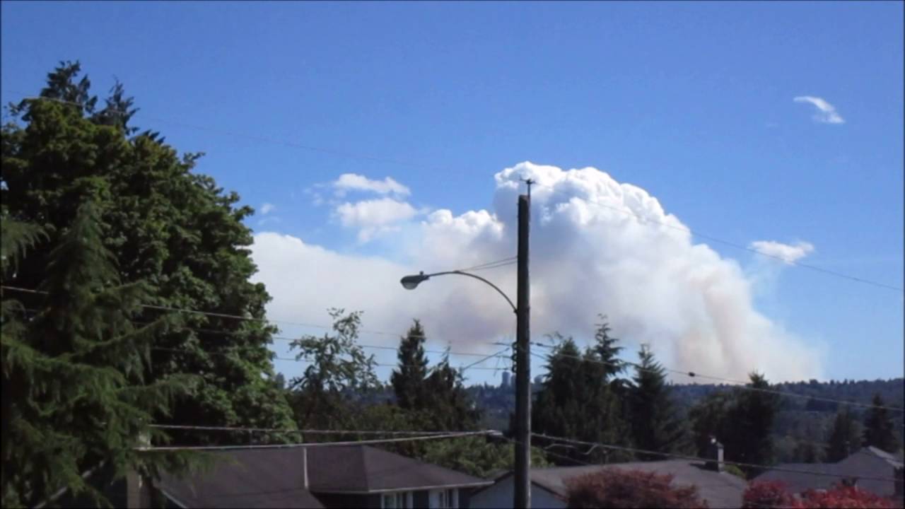 Burns Bog Fire 2016 | Delta BC Timelapse