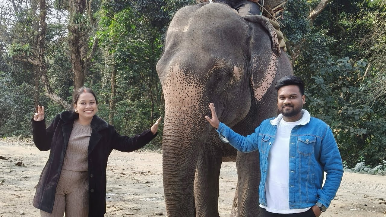 Day 4 Jaldapara Elephant safari 🥰❤️