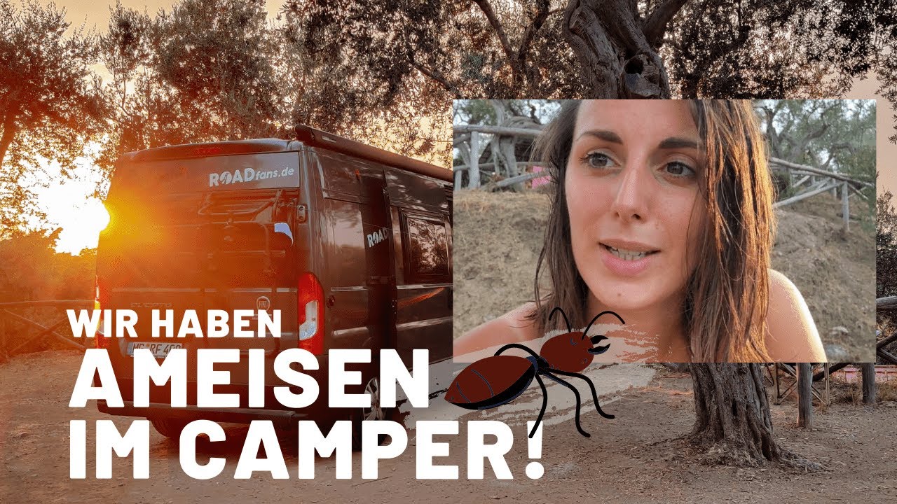 Roadtrip entlang der Amalfi Küste 😎☀️ & Ameisenplage auf dem Campingplatz • Italien VLOG #10