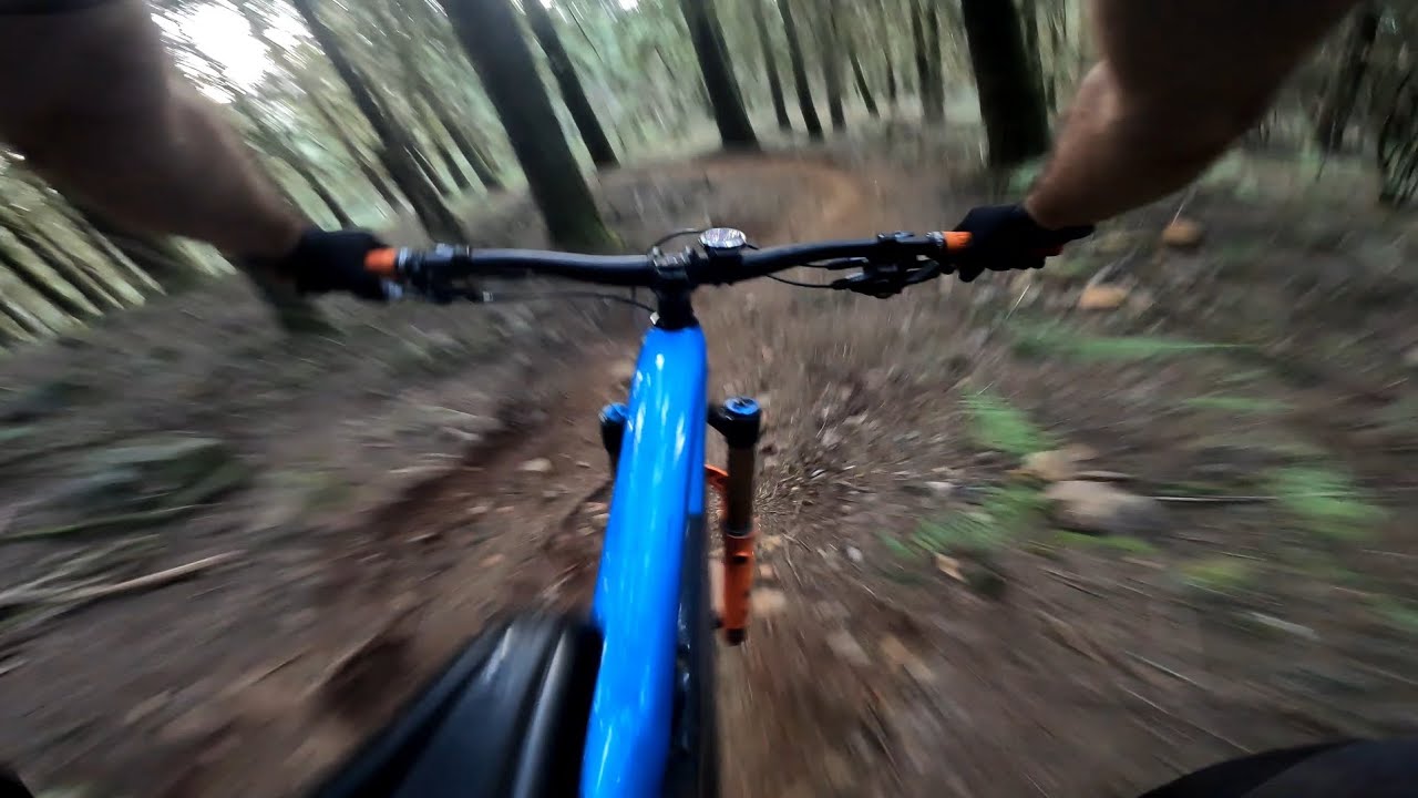 The PERFECT Trail || Madeira Island MTB