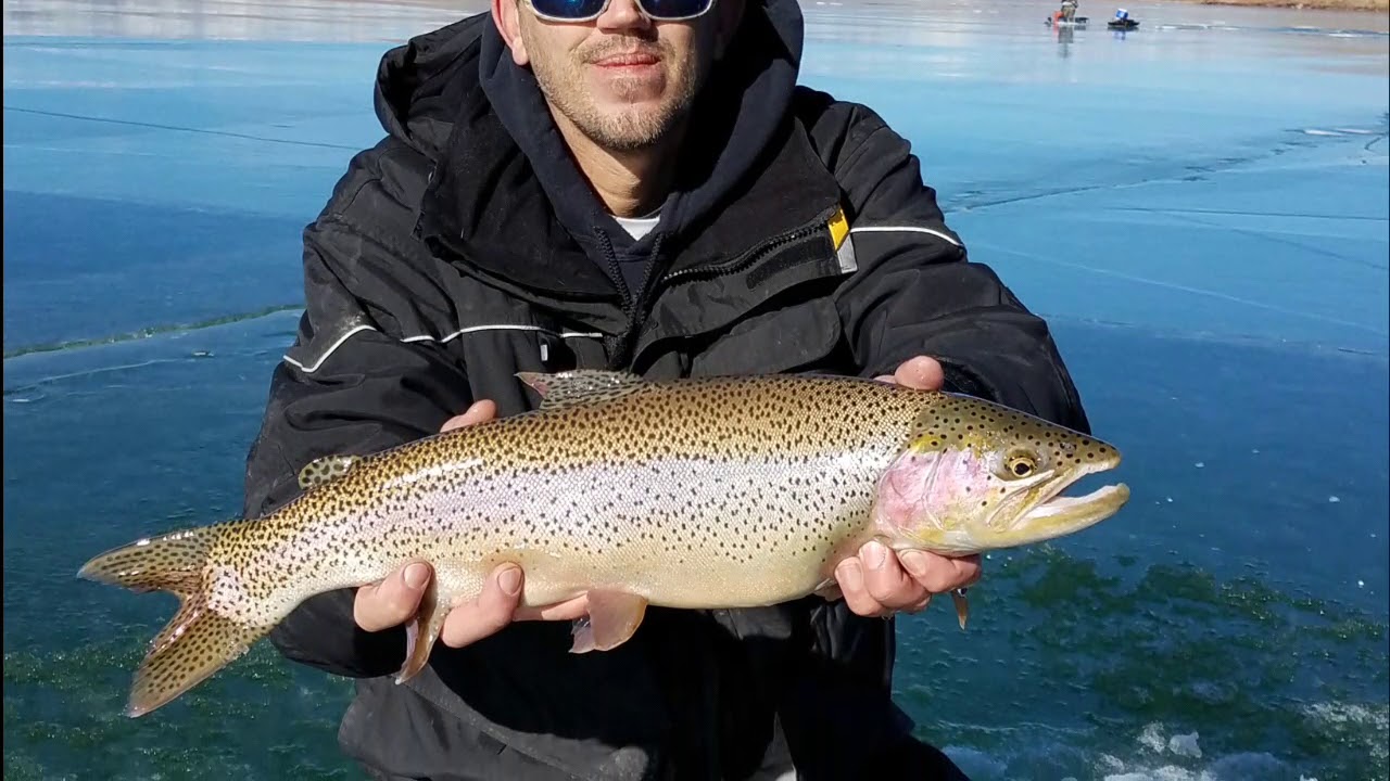 Colorado Tackle Pro Antero 12/12_2017