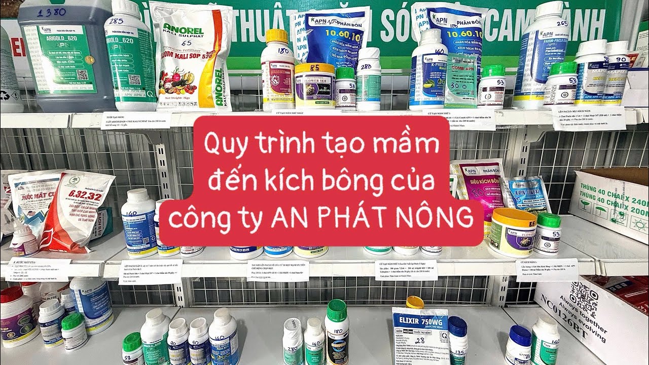 🌿Quy trình tạo mầm đến kích bông của công ty AN PHÁT NÔNG #apn #anphatnong #taomam #lambongsaurieng 