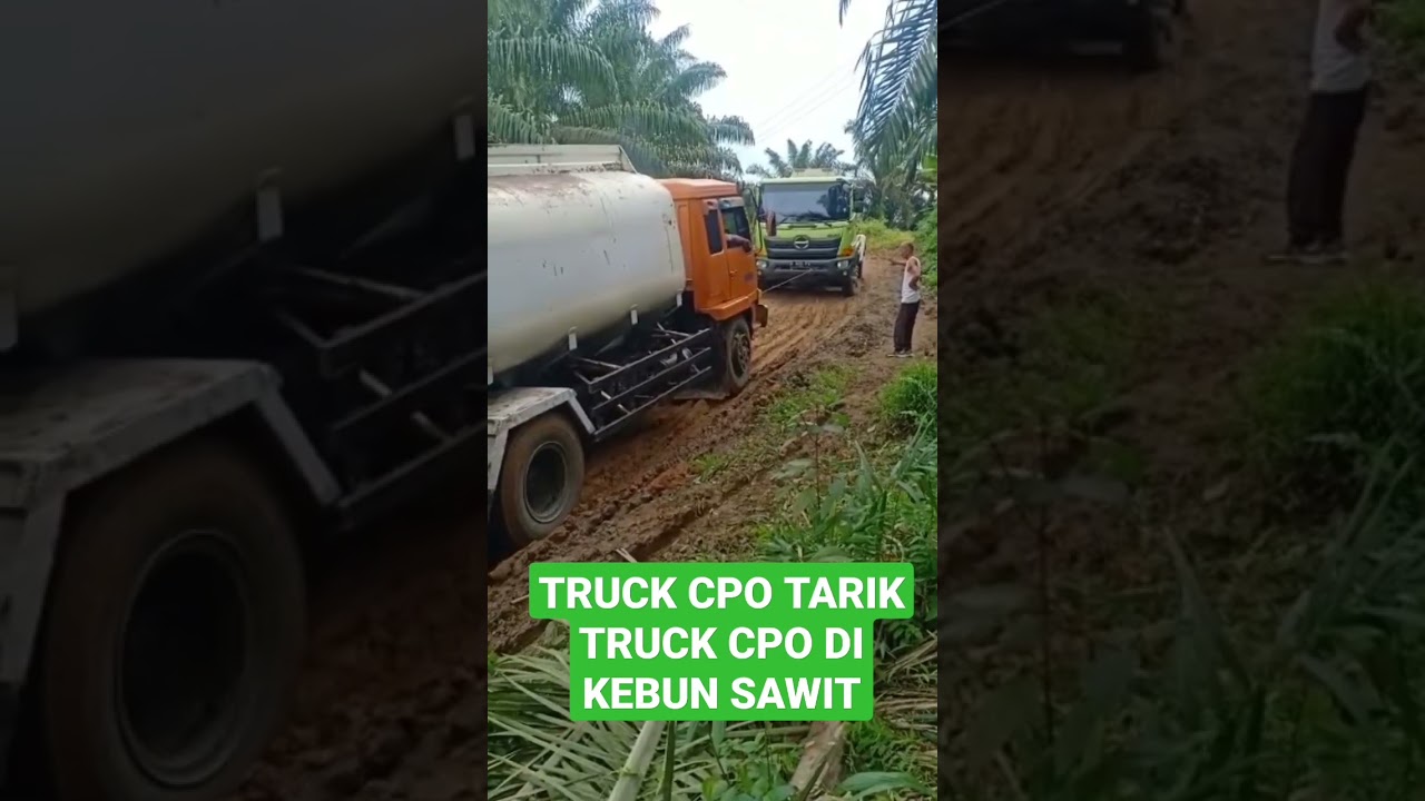 SESAMA TRUK CPO TARIK TARIKAN DI PERKEBUNAN KELAPA SAWIT