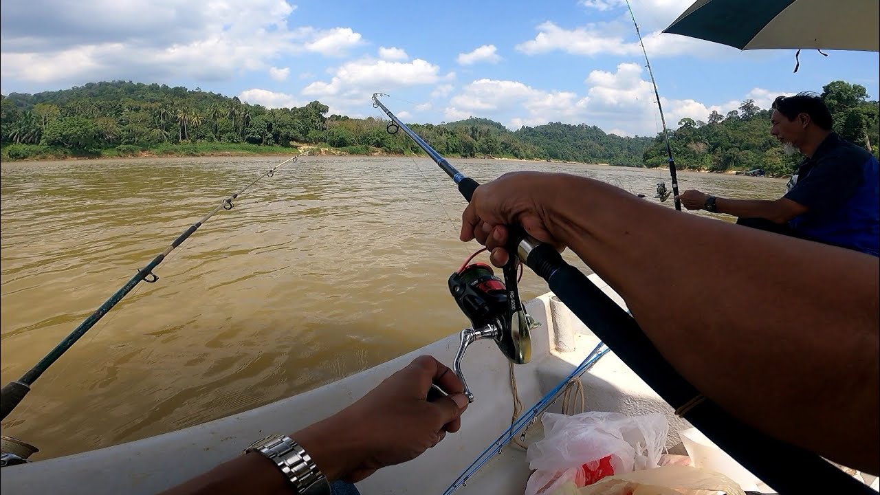 Aktiviti mancing disungai pahang‼️Memburu ikan sisik