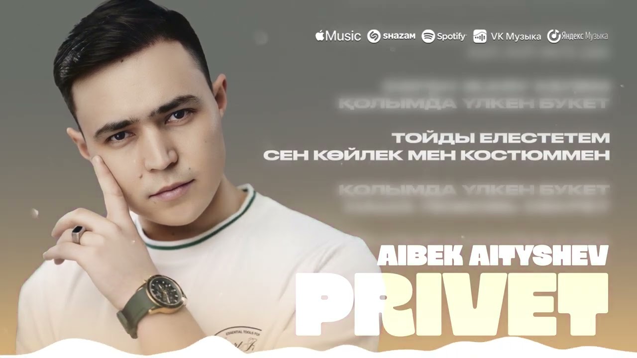 Aibek Aityshev - PRIVET | Lyric audio