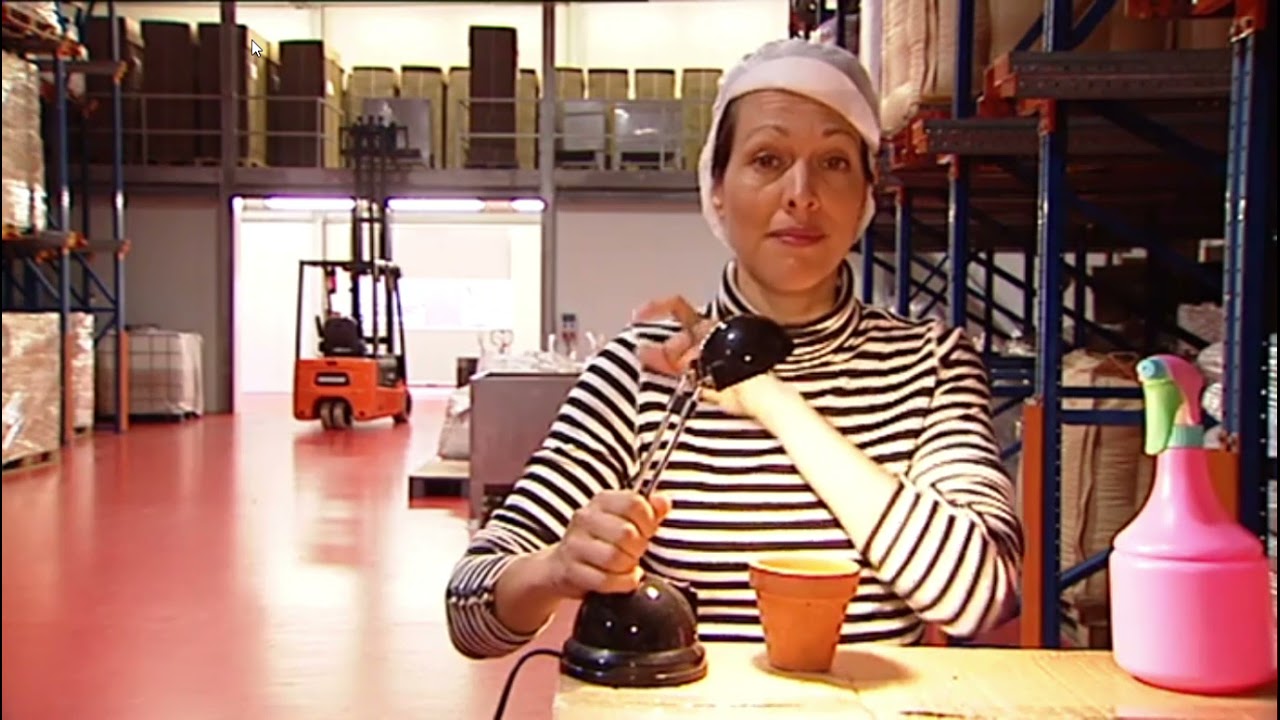 Hoe groeit een pinda