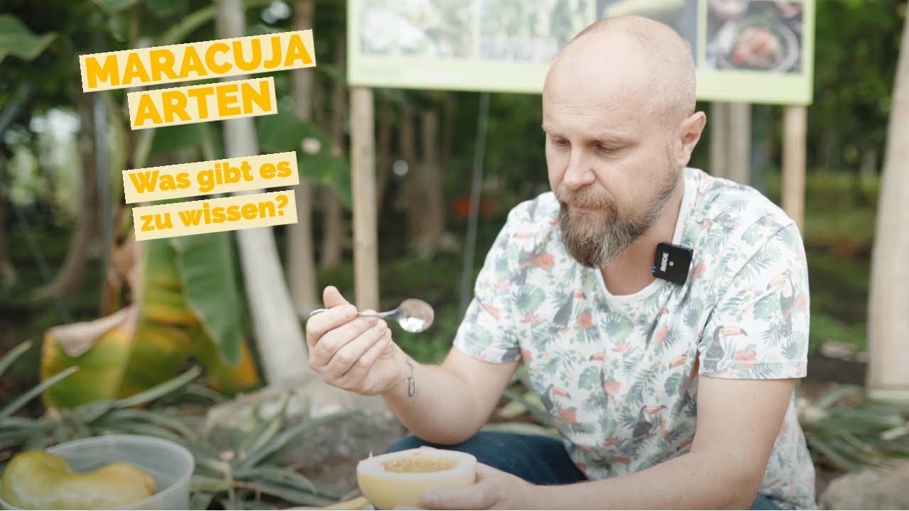 MARACUJAS - PASSIFLORA / Früchte einiger Sorten im Vergleich
