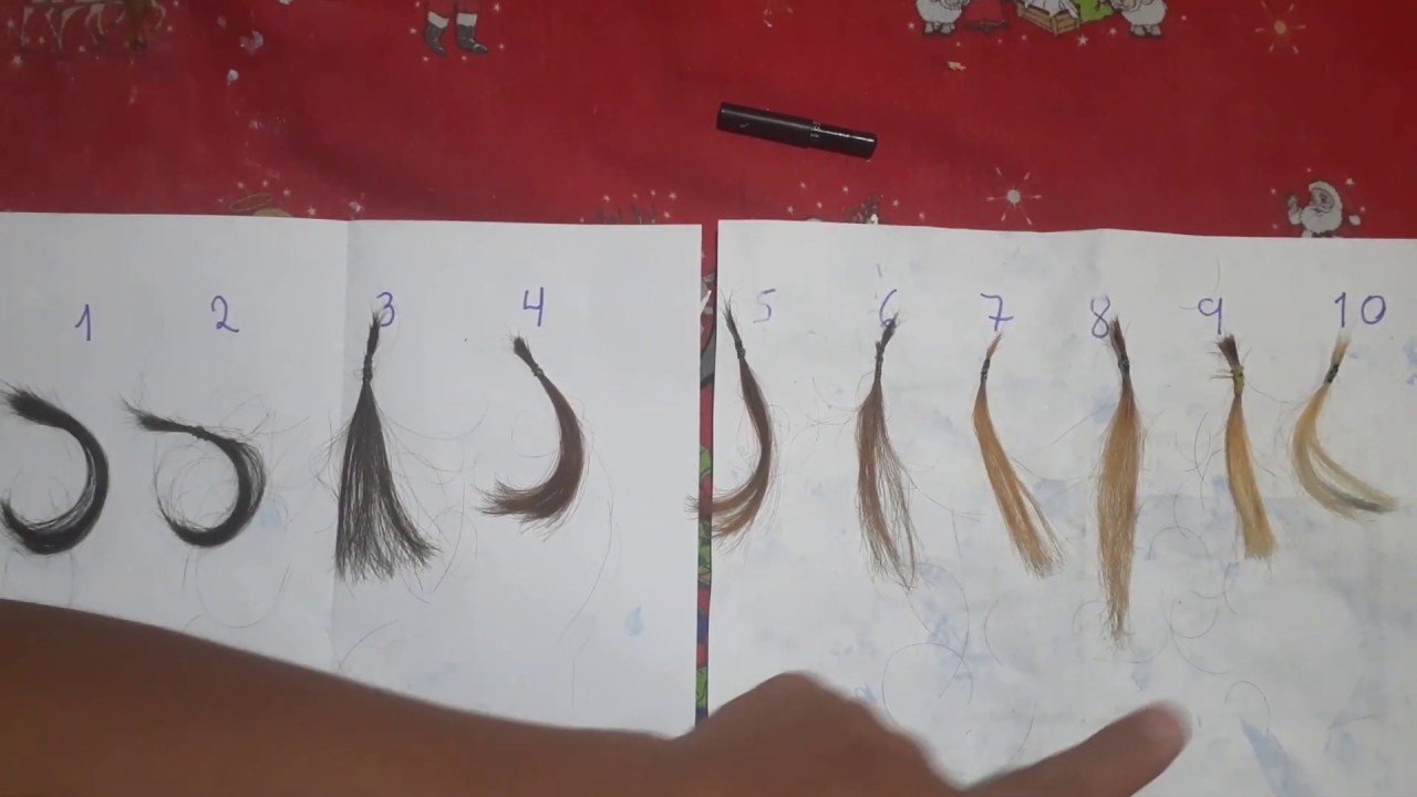 Etapas de decoloracion