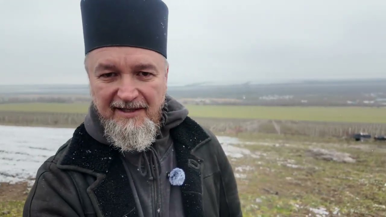 Весна на винограднике: воспитываем шелковицу и укореняем вербу