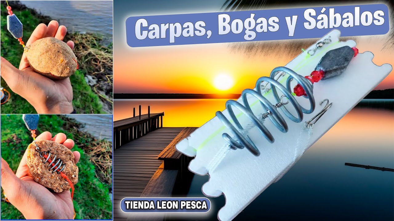 🎣LINEAS PESCA CARPA COREANA FEEDER RESORTE DURO 4 ANZUELOS Y TABLA🐟 | Tienda Leon Pesca