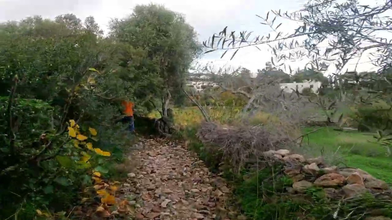 Hike in Patmos island Greece 15/12/22