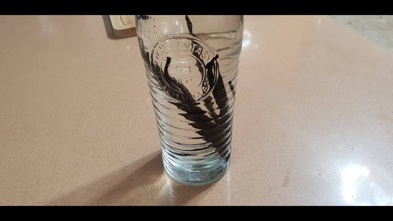 מתכון אך להכין תמצית וניל.recipe but to make vanilla extract