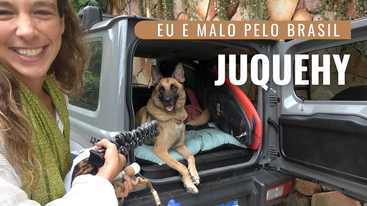Desbravando o litoral de São Paulo com o meu cachorro!