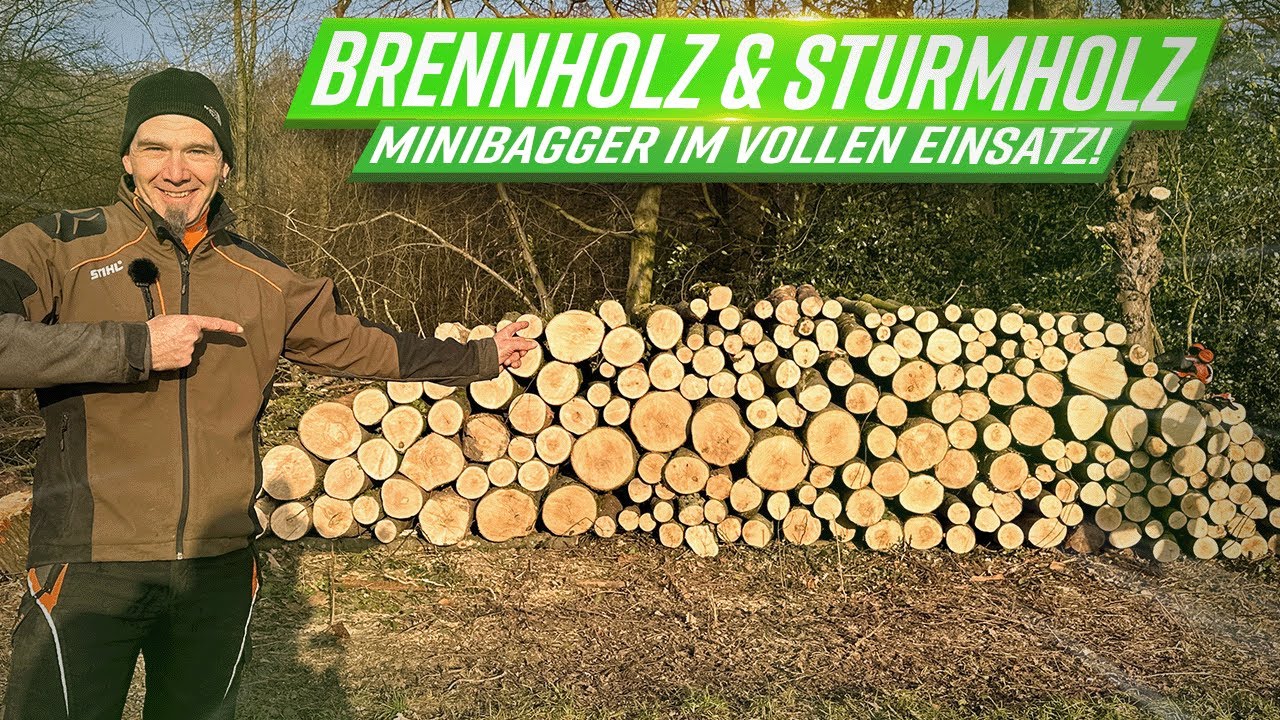 🌲 Brennholz & Sturmholz bergen – Wald aufräumen und Holz rücken mit dem Minibagger! 🚜💪