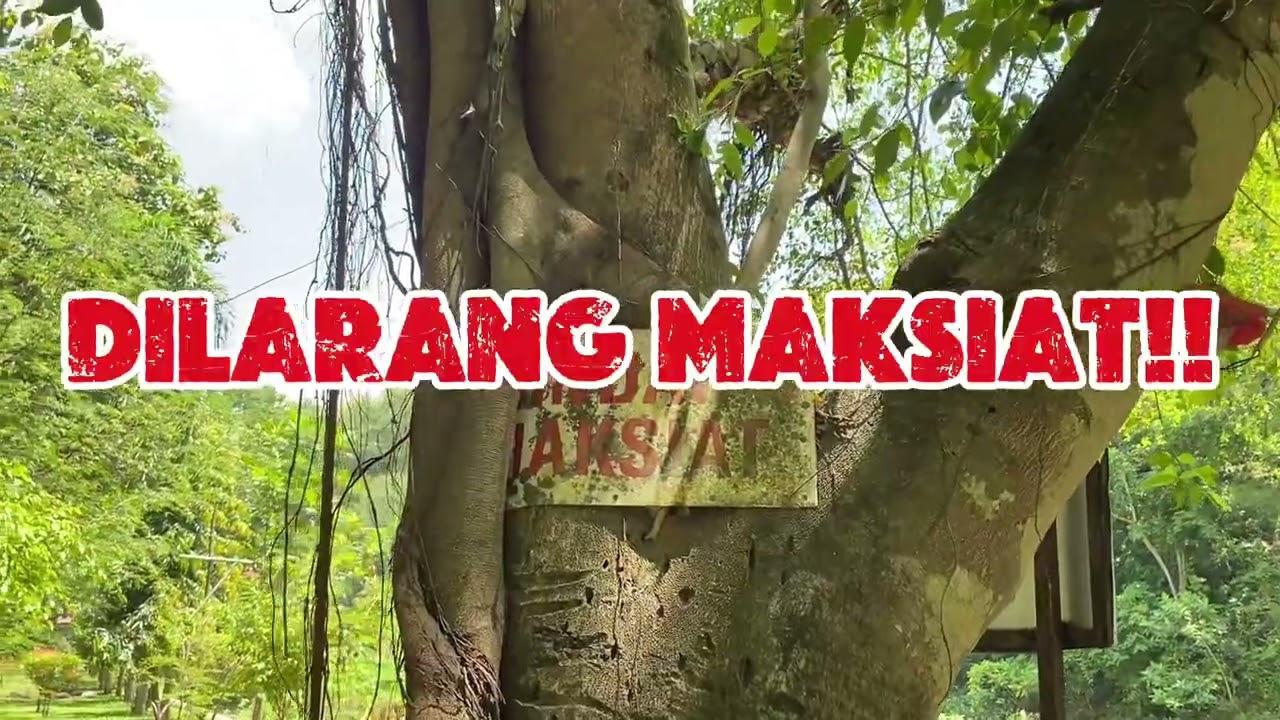 Tugas Bahasa Indonesia, Kelompok 2 putri || SEJARAH UMBUL JAMBE. 