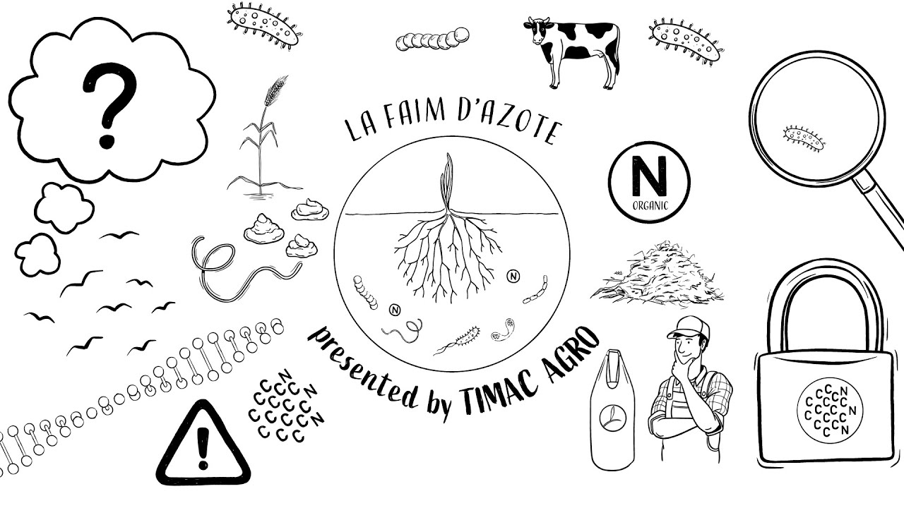 TIMAC AGRO pr&eacute;sente la faim d'azote