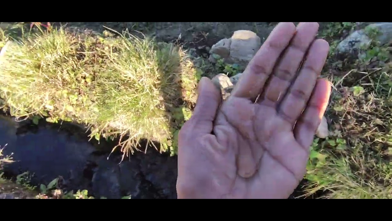 Sarabjeet Jim corbett village 