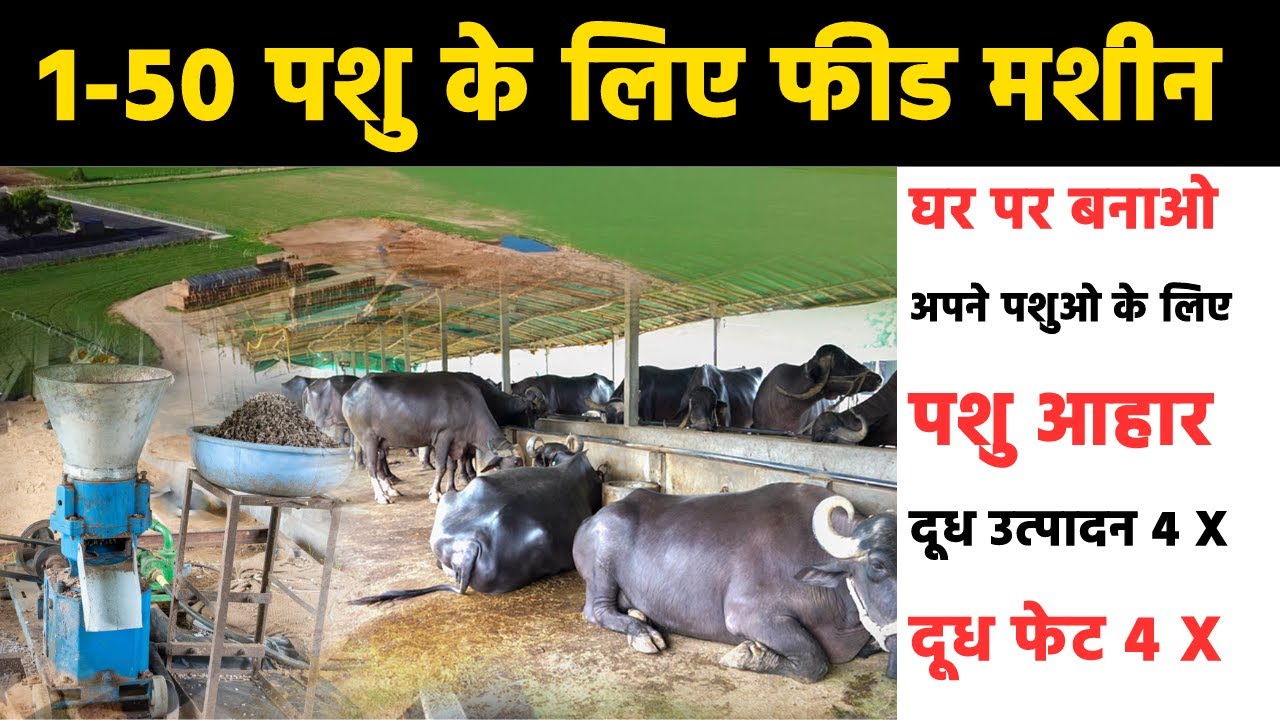 Anand Gujarat  : Cattle Feed pellet machine for Dairy Farm !! SIGMATECH ENGINEERING - Tech Mewadi
