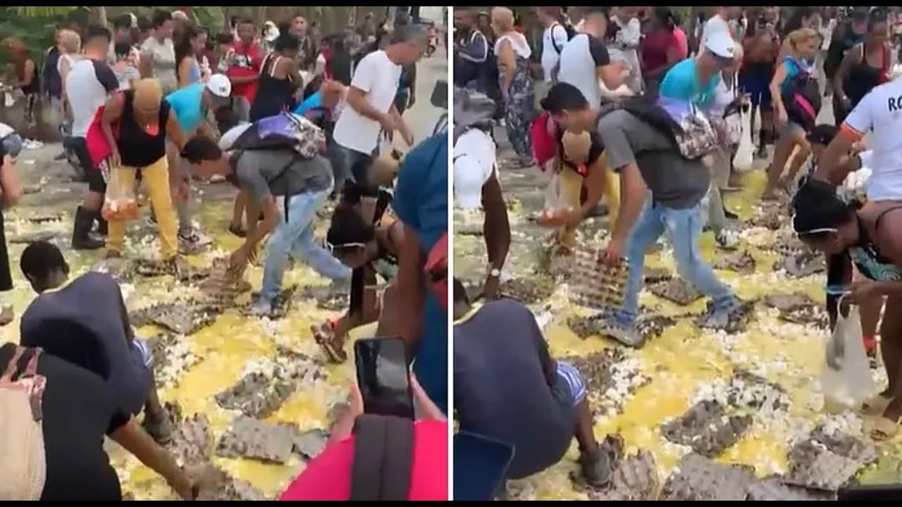 Cubanos recogen huevos caídos de un camión en La Habana