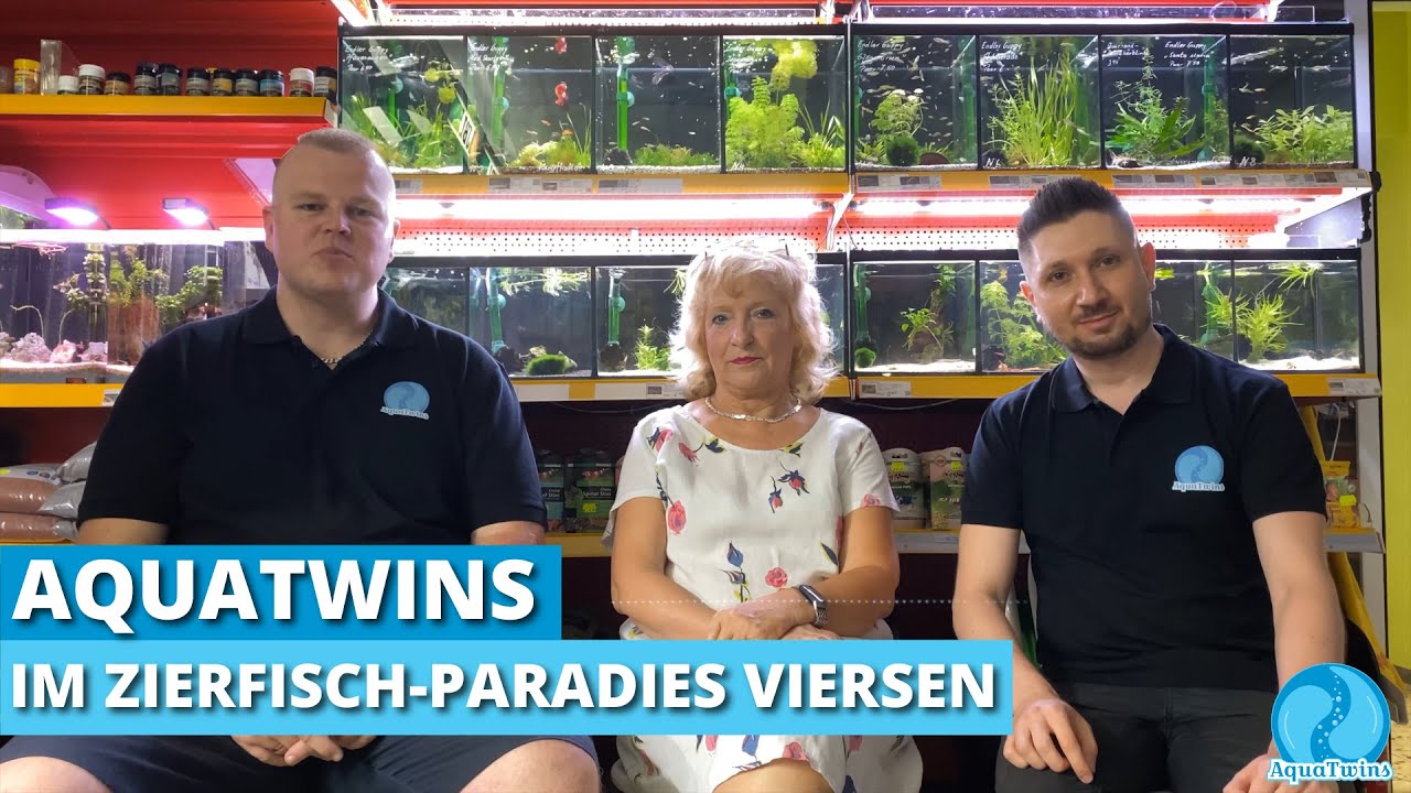 Zierfisch-Paradies Viersen - Aquatwins on tour
