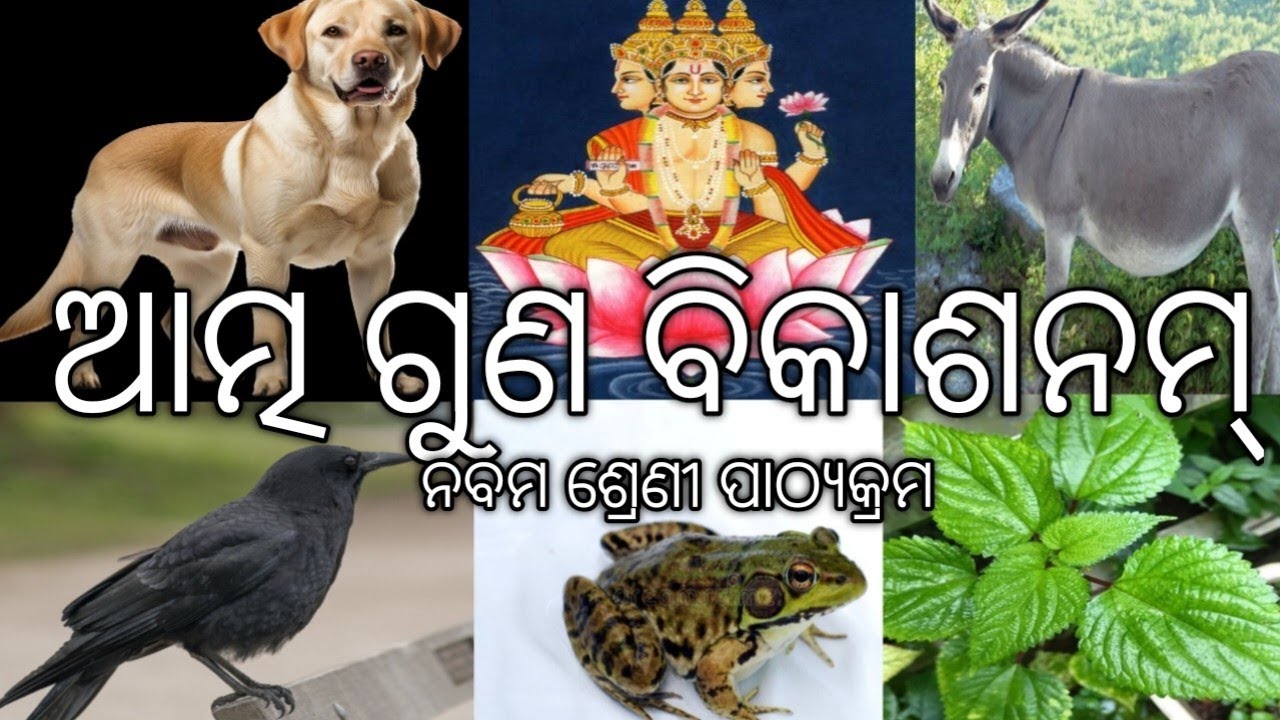 Class - 9th / Sanskrit Prose / Aatma guna Bikasanam /Full story in Odia 👈