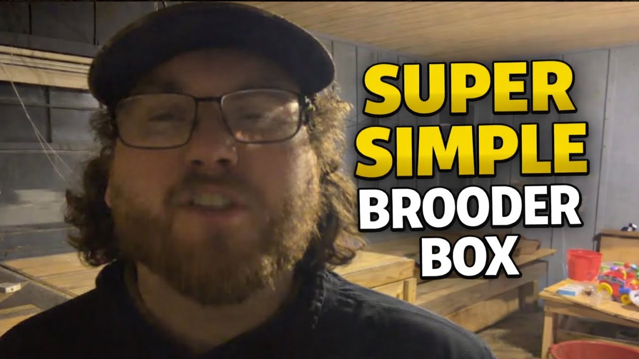 How I Built my Simple Brooder Box
