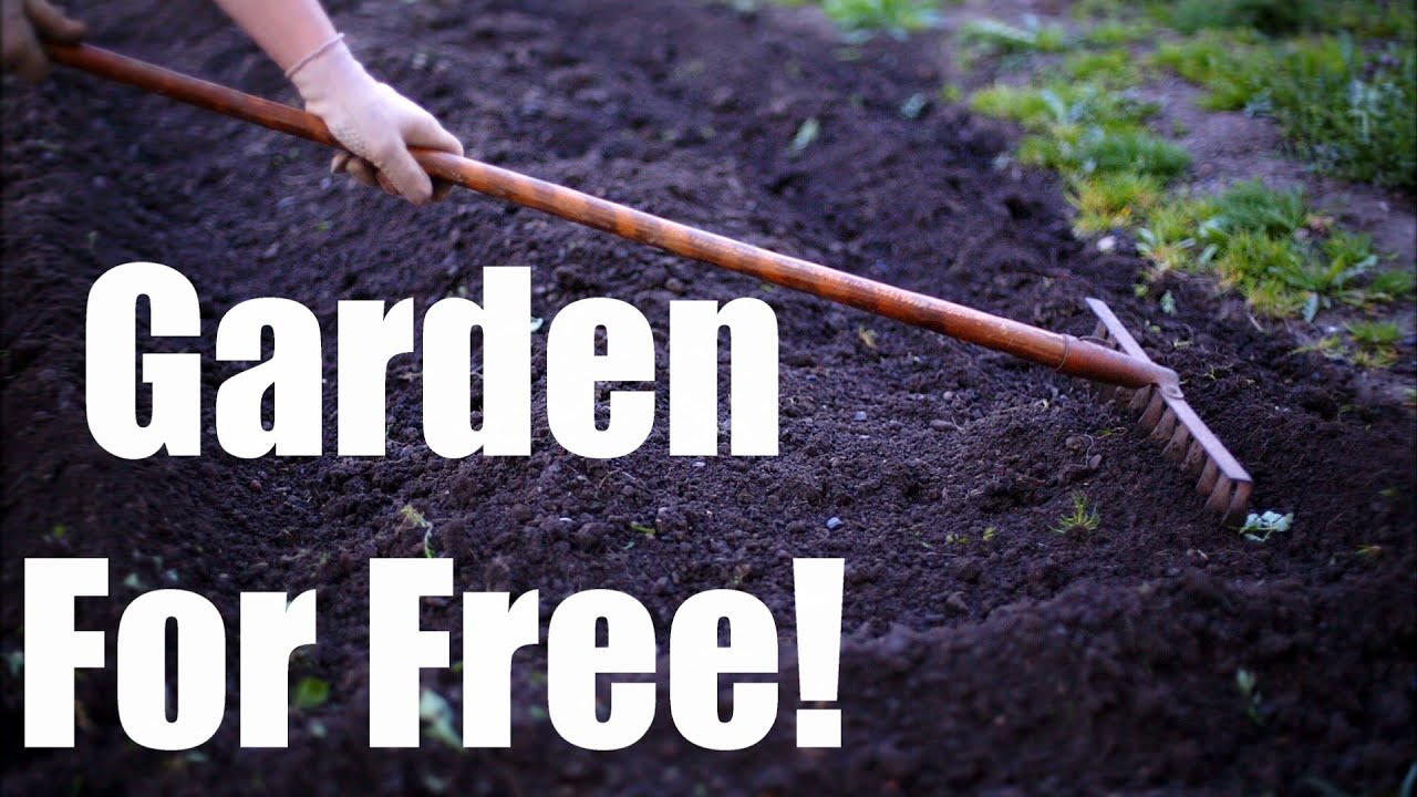 Ten Tips to Save Money Gardening