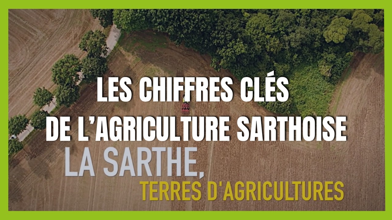 Les chiffres clés de l’agriculture en Sarthe