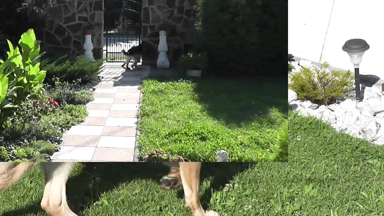 Test Panasonic HDC-TM60.m2ts